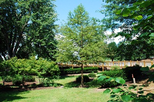 Jean Fogle Memorial Garden Jean Fogle Memorial Garden